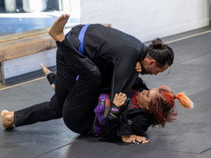 Brazilian Jiu-Jitsu in San Fernando Valley: A Martial Art for the Whole Family