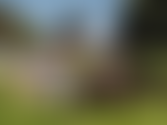 O que fazer no Dia das Mães 2026? Viva um fim de semana especial no Hotel Fazenda Dona Carolina