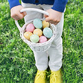 Egg Hunter