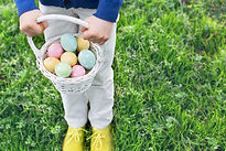 Egg Hunter
