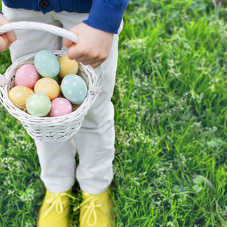 Spring Into Summer!  Spring Term Updates