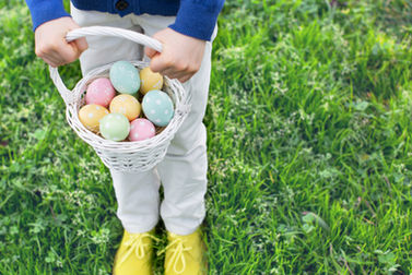 Egg Hunter