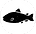 FISH.png