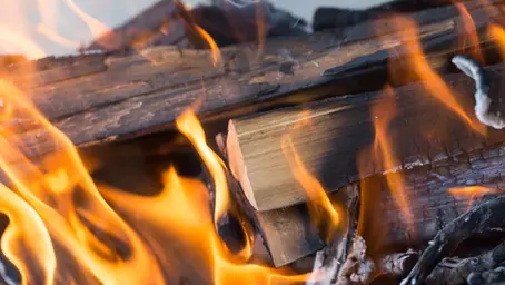 Wood Choice Matters: How Different Woods Affect Flavor and Texture