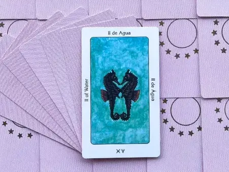 Tarot Sagrado dos Orixás - Dois de Água: Significado e interpretação da carta - Oráculos Web