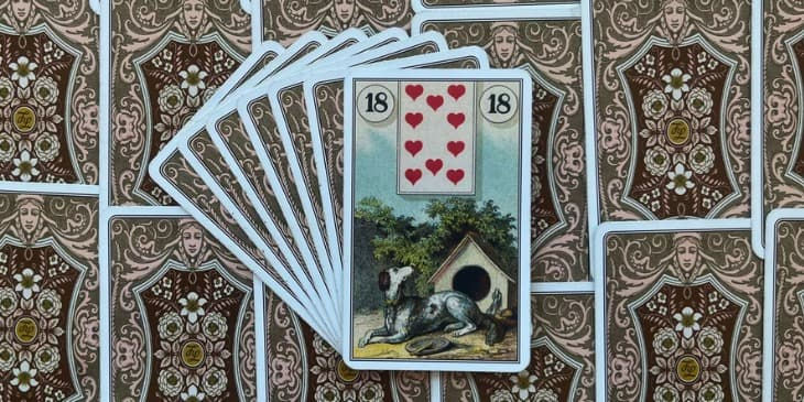 um cachorro sentado no chão perto de uma casinha de cachorro e um prato de comida