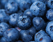 BLUEBERRIES