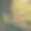 book mockup (1).png