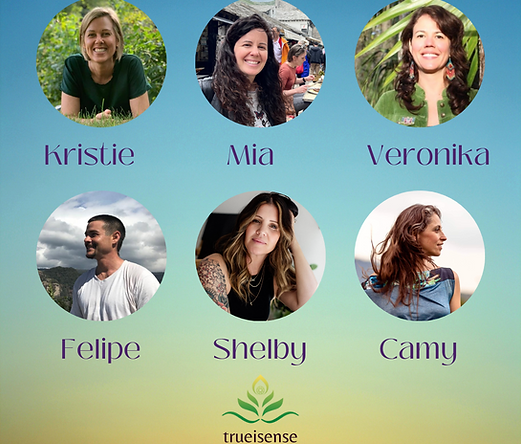 Retreat Collaborators