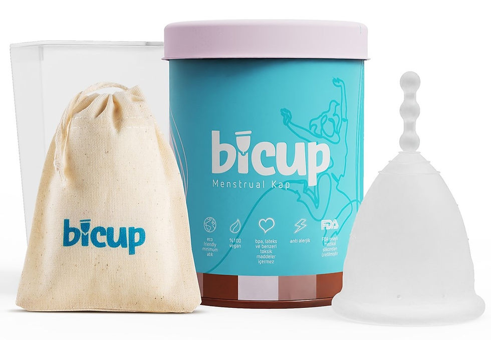 Küçük resim: Bicup Gift For Sister