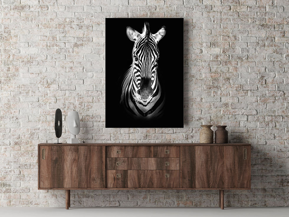 Thumbnail: The Elegant Zebra