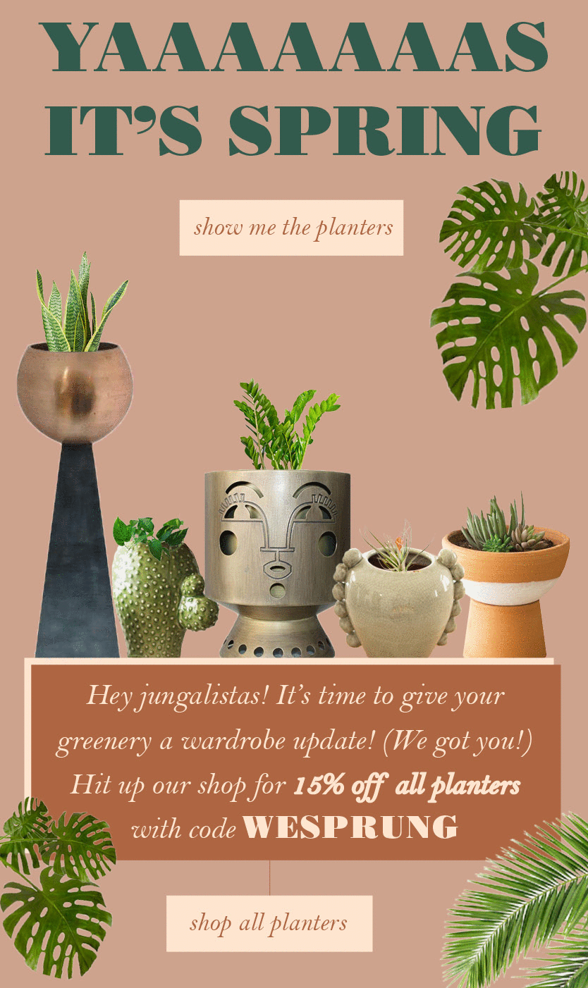 Spring plants growing