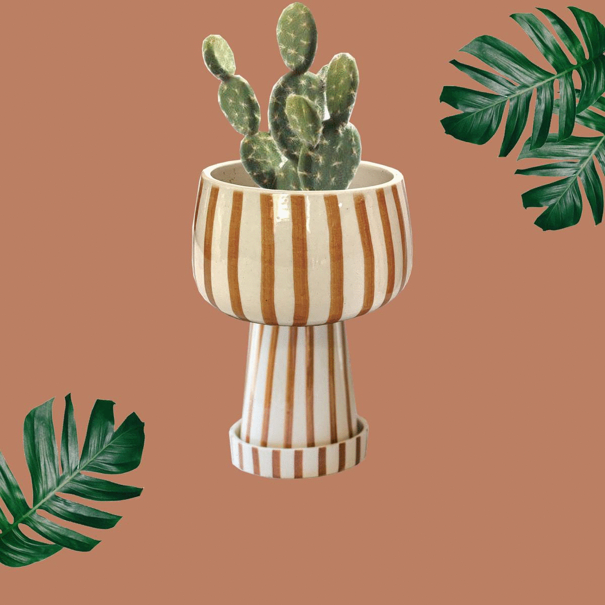 08.27.29 - kaya planter 2 of 3