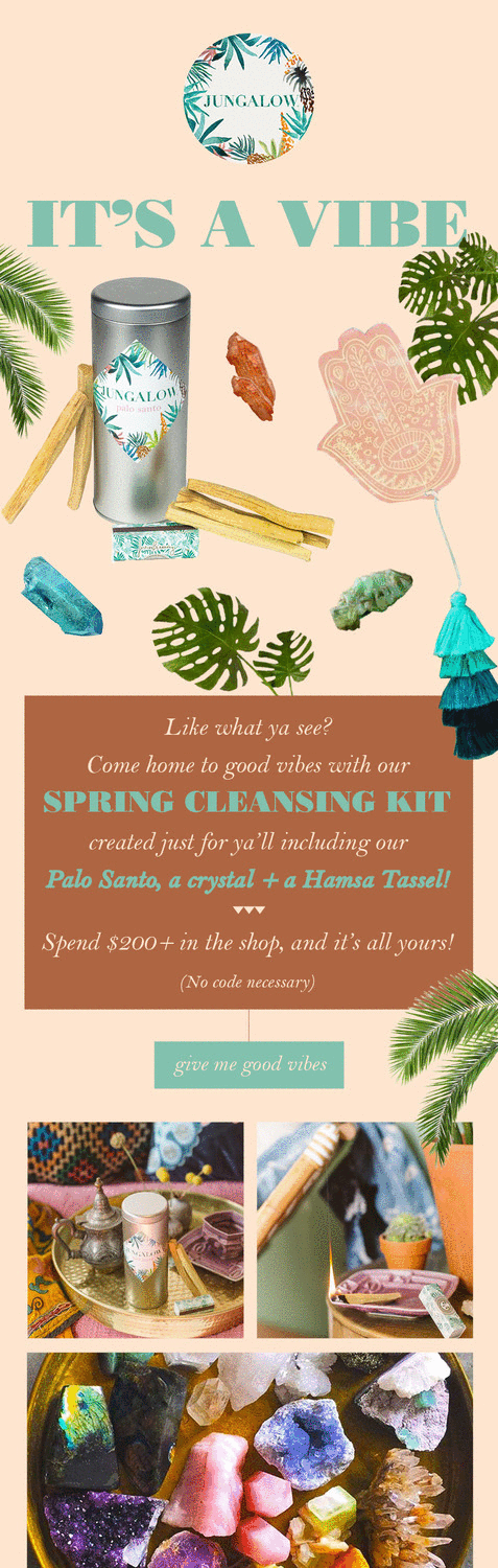 Spring Cleansing Kit promo
