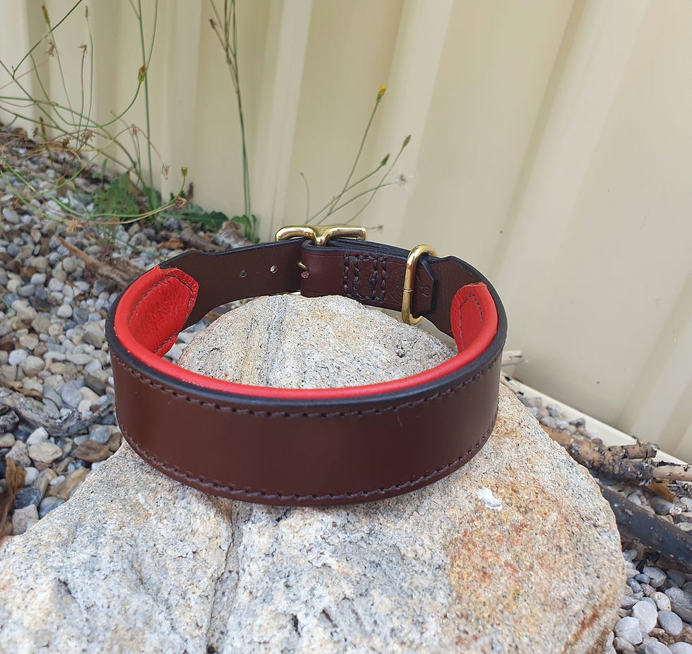 Thumbnail: Padded dog collars - Italian leather