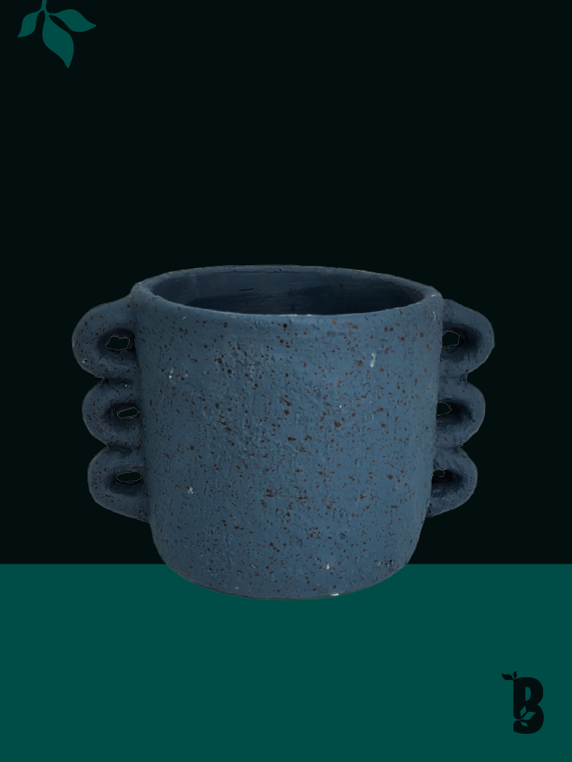 Biobotanic Abode Hervey Bay Celestial Charm Decorative Planter