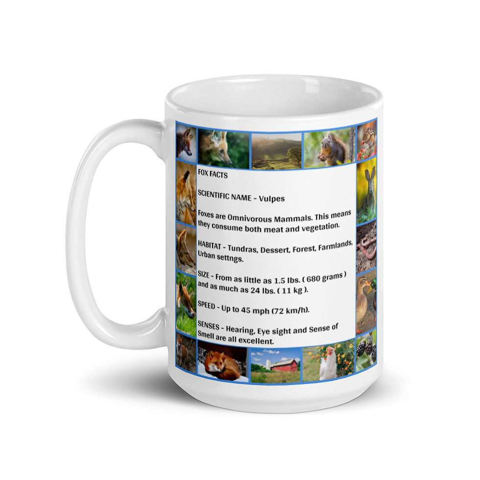 Thumbnail: Fox Facts Mug