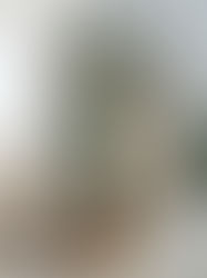 Plant Decorating: Adding Personality & Quirks to Your Indoor Jungle 🌿🎉