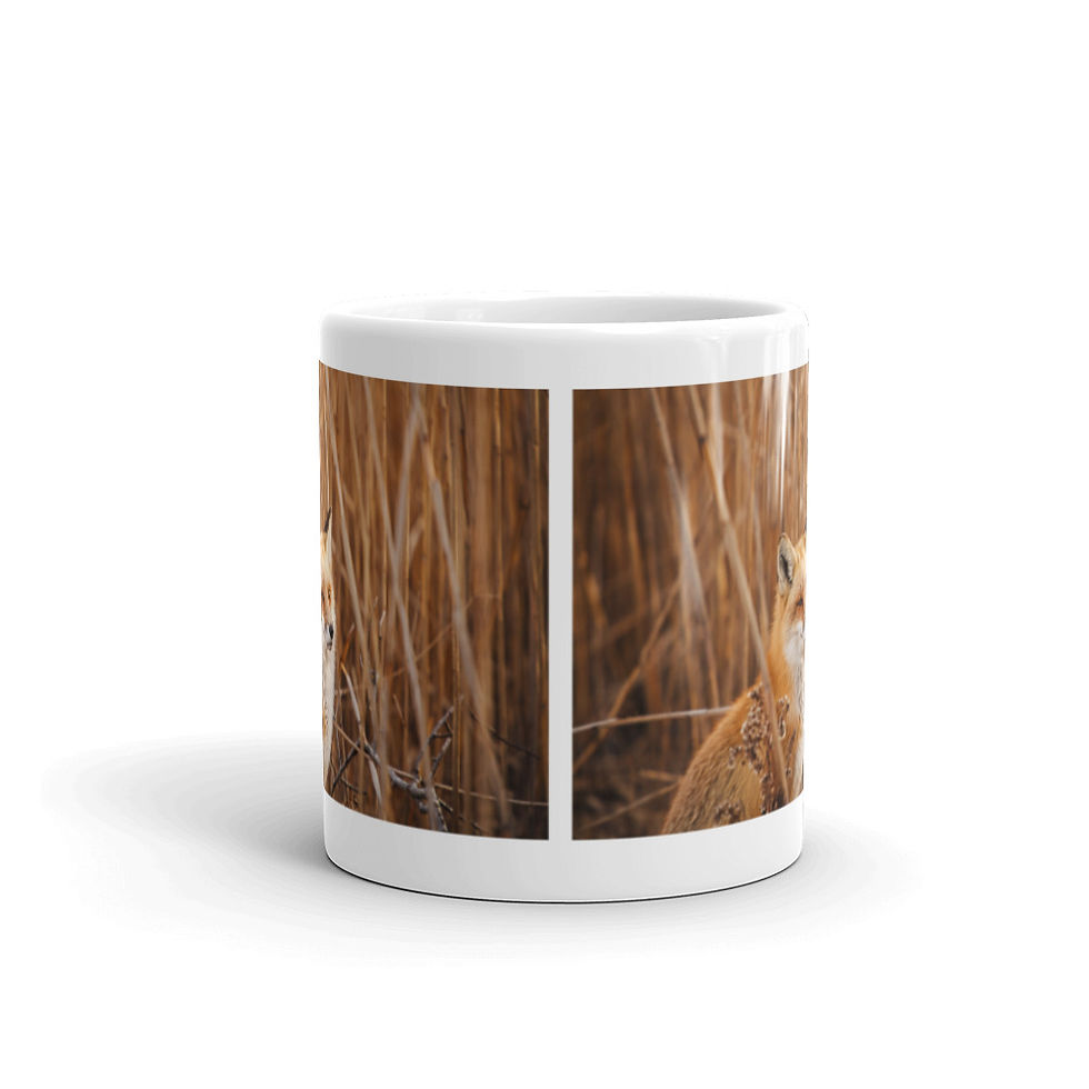 Thumbnail: Fox Outing Mug