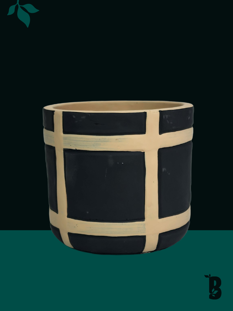 Biobotanic Abode Hervey Bay Textured Black Sands Decorative Planter