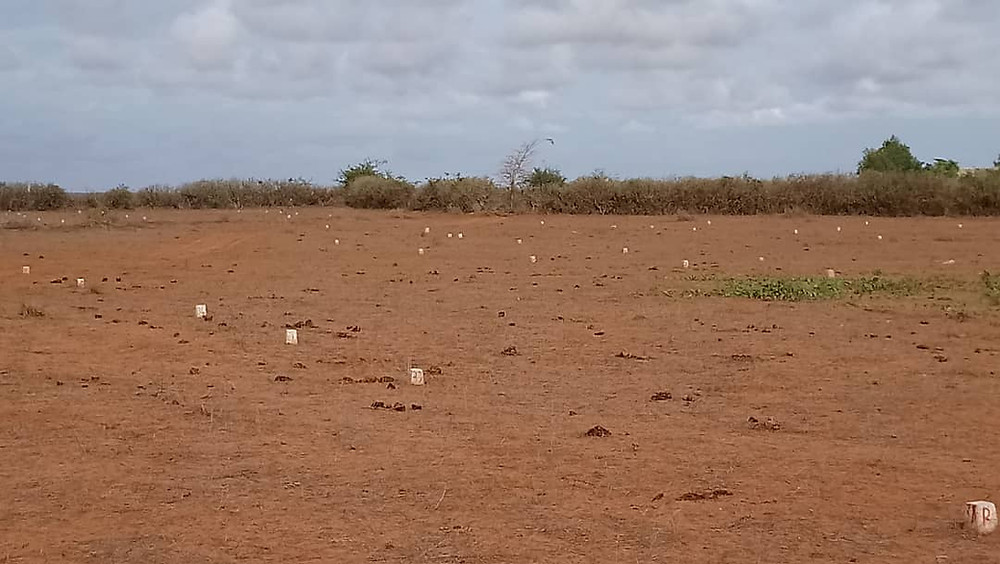Batiboom : chantier en construction à Dakar