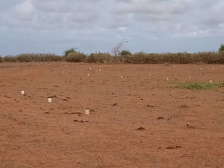 Investissement immobilier : acquisition d'un terrain au Sénégal