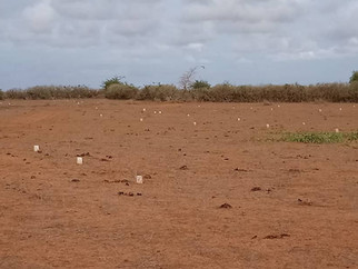 Investissement immobilier : acquisition d'un terrain au Sénégal