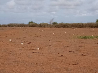 Investissement immobilier : acquisition d'un terrain au Sénégal