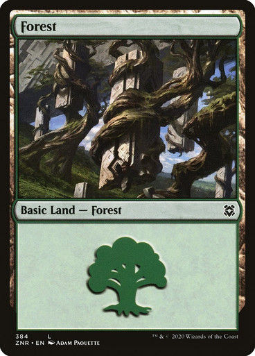 Forest (ZNR) (384)