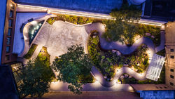 CMNH 3