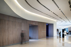CMNH 7