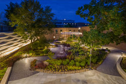 CMNH 5