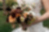 Sara + Michael-80.jpg