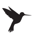 LaPlanificatrice_Colibri-NOIR---juillet-2025.png