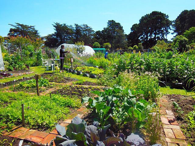 Crop Rotation.jpg