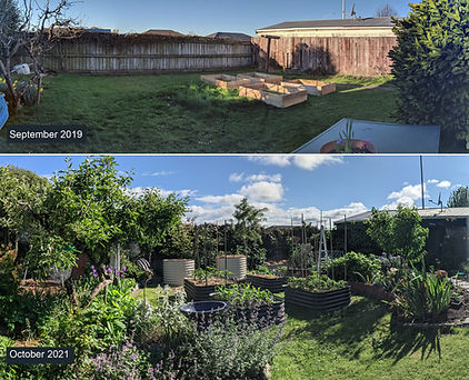 Gail - 2 years down the garden path.jpg