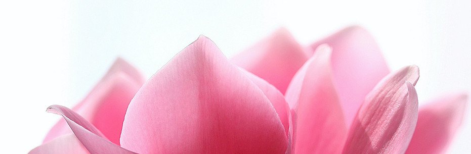 Parfum selber machen