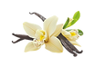 Parfum Duft Öl Vanille