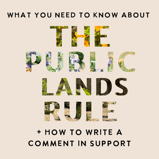 The Public Lands Rule + How to Write a Comment to the BLM