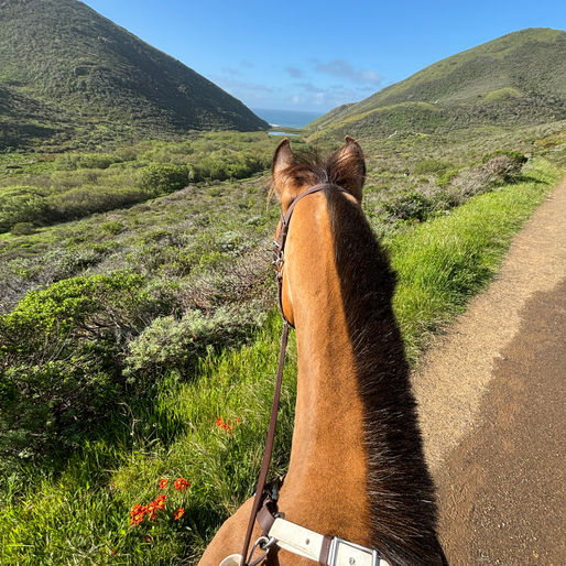 5 Trail Etiquette Tips for Horseback Riders