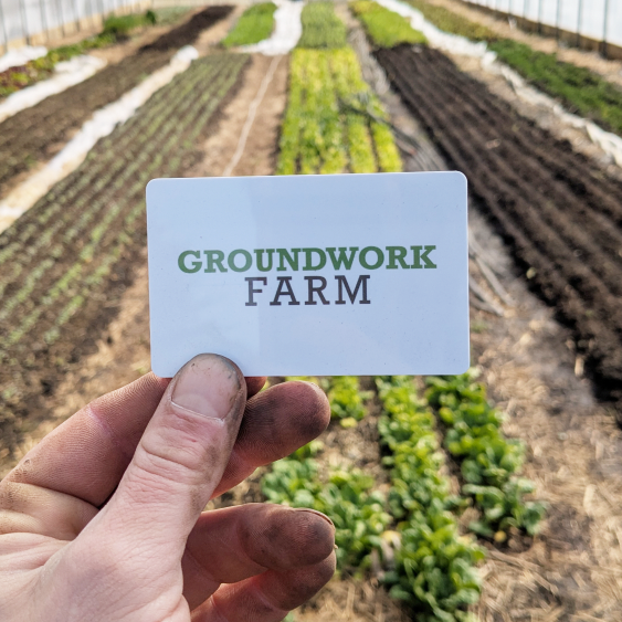 Groundwork Farm share