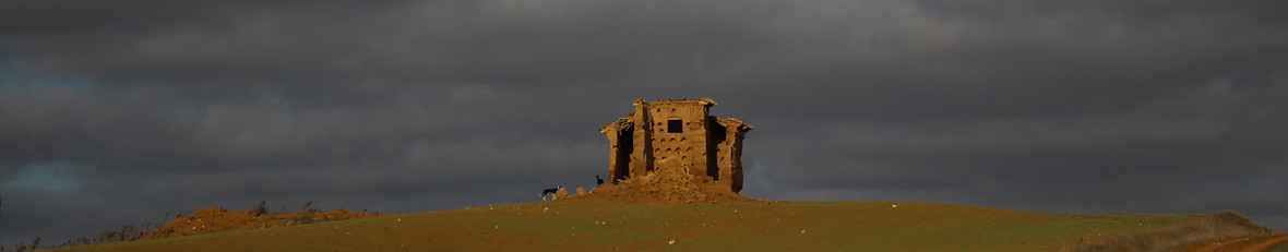 IMG_8650.JPG