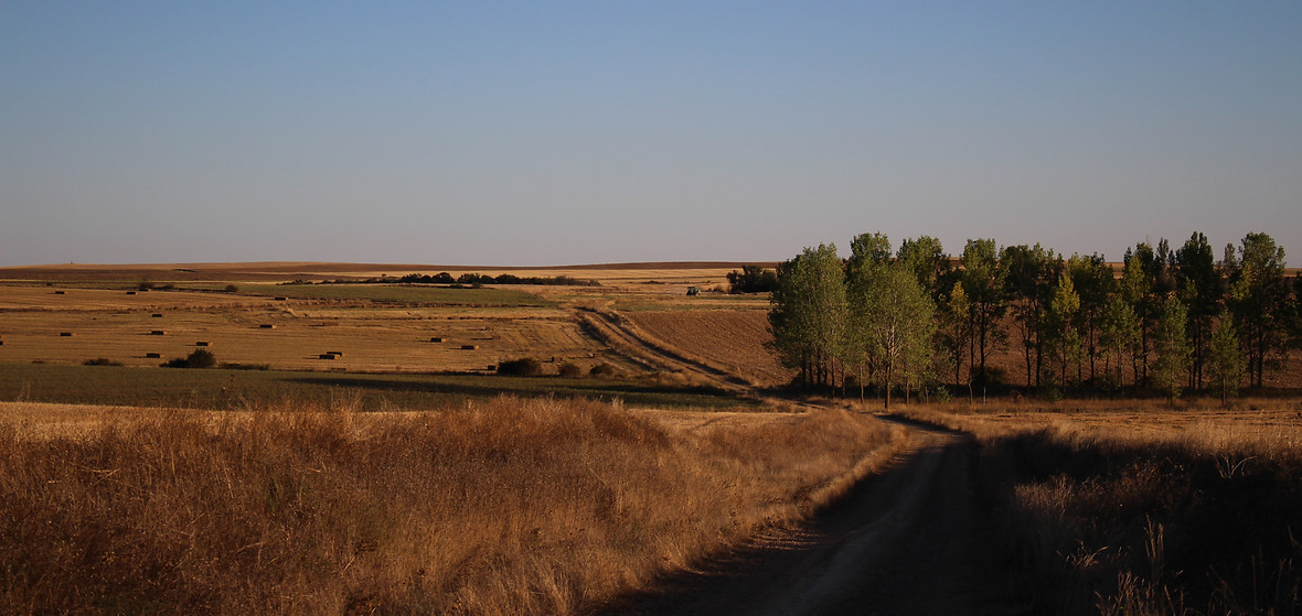 IMG_9007.JPG