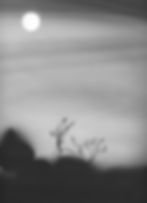 Dark Drawing 2
