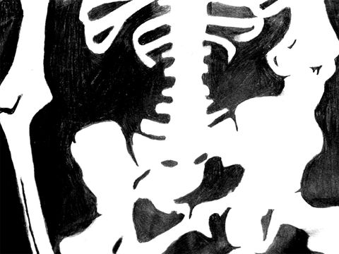 Still Life Feature: Negative Bones