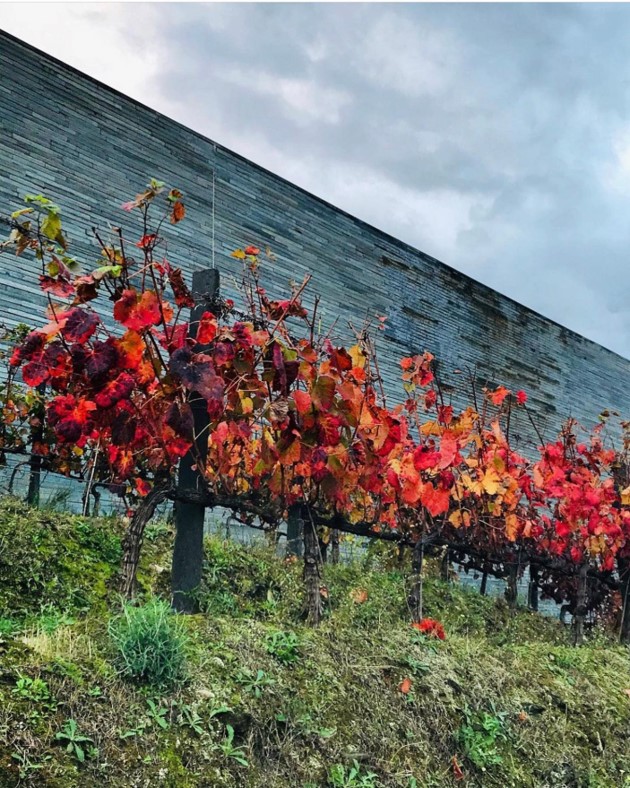 @ Quinta do Vallado - Douro