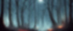 AdobeStock_576689677.jpeg
