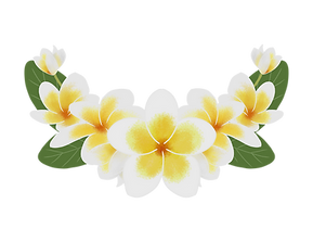 Soroptimist Placeholders (1).png