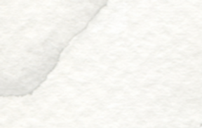 web bow_edited.png