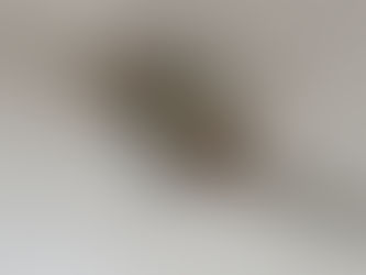 ホームページ開設しました。